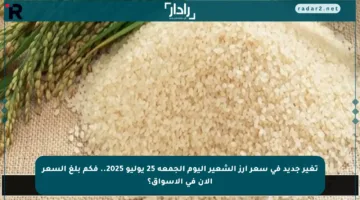 تغير جديد في سعر أرز الشعير اليوم الجمعة 25 يوليو 2025.. فكم بلغ السعر الآن في الأسواق؟